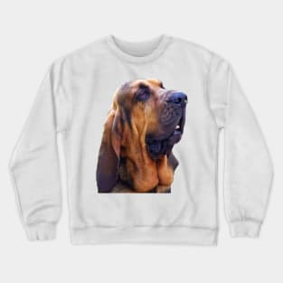 Hunting dog - Bloodhound Crewneck Sweatshirt